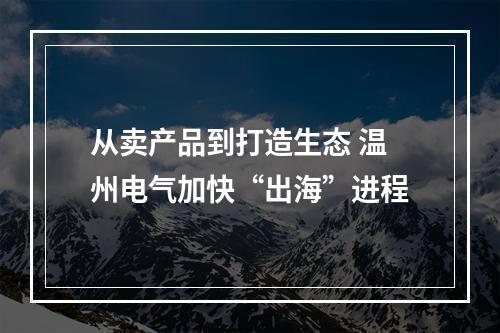 从卖产品到打造生态 温州电气加快“出海”进程