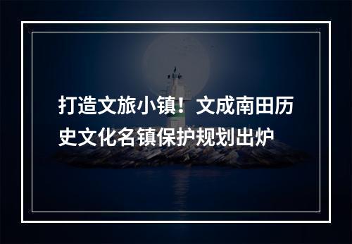打造文旅小镇！文成南田历史文化名镇保护规划出炉