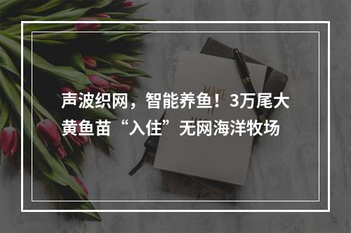 声波织网，智能养鱼！3万尾大黄鱼苗“入住”无网海洋牧场