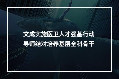 文成实施医卫人才强基行动 导师结对培养基层全科骨干