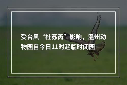 受台风“杜苏芮”影响，温州动物园自今日11时起临时闭园