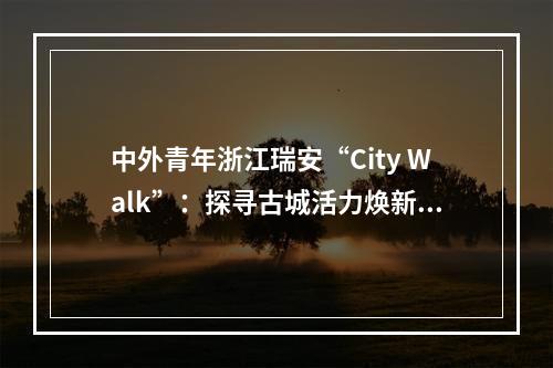 中外青年浙江瑞安“City Walk”：探寻古城活力焕新奥秘