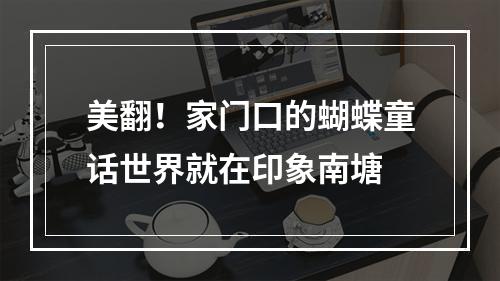美翻！家门口的蝴蝶童话世界就在印象南塘