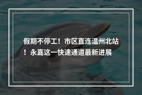 假期不停工！市区直连温州北站！永嘉这一快速通道最新进展