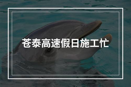 苍泰高速假日施工忙