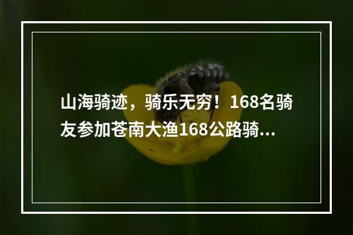 山海骑迹，骑乐无穷！168名骑友参加苍南大渔168公路骑游活动
