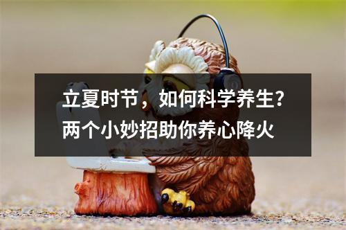 立夏时节，如何科学养生？两个小妙招助你养心降火