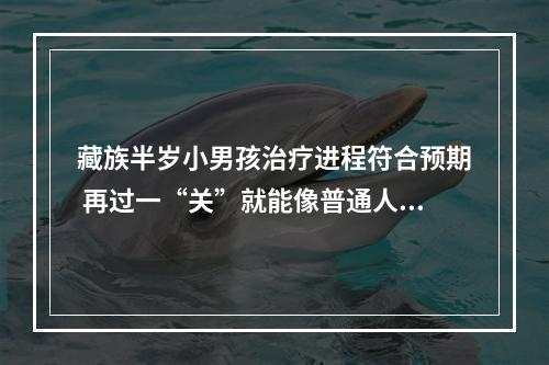 藏族半岁小男孩治疗进程符合预期 再过一“关”就能像普通人一样生活