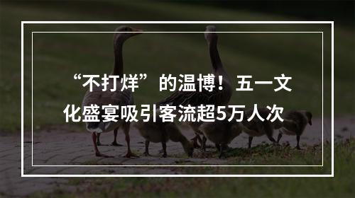 “不打烊”的温博！五一文化盛宴吸引客流超5万人次