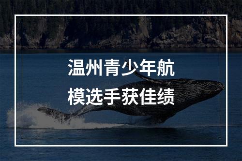 温州青少年航模选手获佳绩
