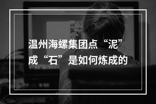 温州海螺集团点“泥”成“石”是如何炼成的