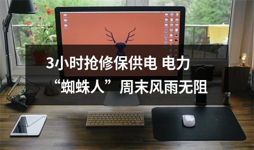 3小时抢修保供电 电力“蜘蛛人”周末风雨无阻