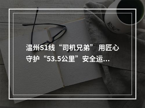温州S1线“司机兄弟” 用匠心守护“53.5公里”安全运行