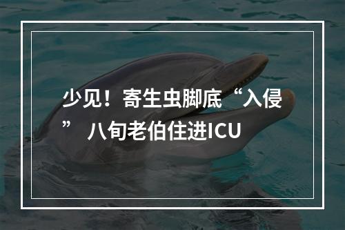 少见！寄生虫脚底“入侵” 八旬老伯住进ICU