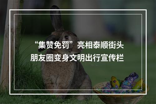 “集赞免罚”亮相泰顺街头 朋友圈变身文明出行宣传栏