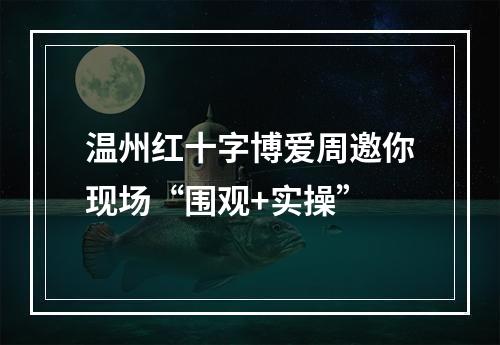 温州红十字博爱周邀你现场“围观+实操”