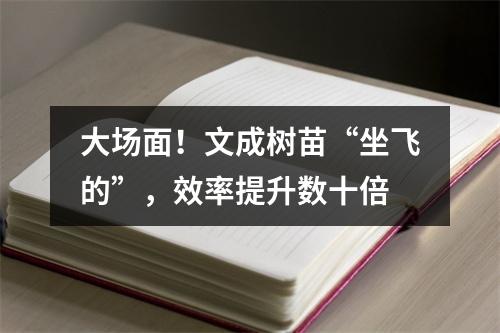 大场面！文成树苗“坐飞的”，效率提升数十倍
