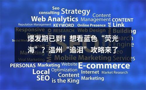 爆发期已到！想看蓝色“荧光海”？温州“追泪”攻略来了