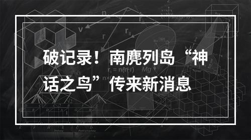 破记录！南麂列岛“神话之鸟”传来新消息