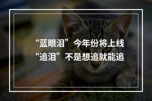 “蓝眼泪”今年份将上线 “追泪”不是想追就能追