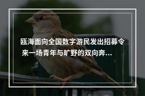 瓯海面向全国数字游民发出招募令 来一场青年与旷野的双向奔赴