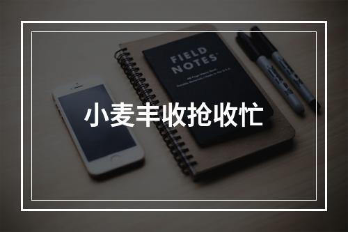 小麦丰收抢收忙