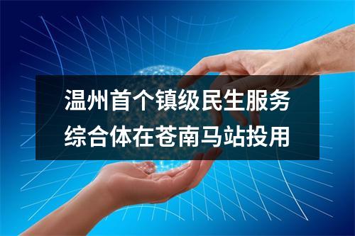 温州首个镇级民生服务综合体在苍南马站投用