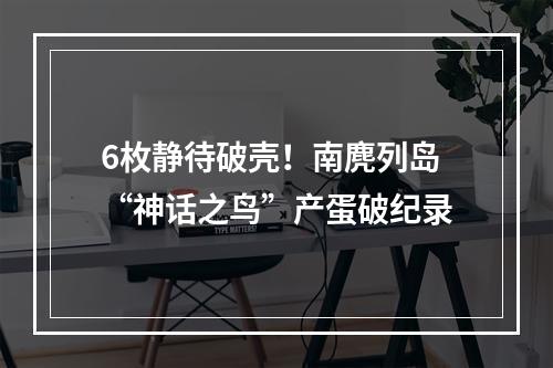 6枚静待破壳！南麂列岛“神话之鸟”产蛋破纪录