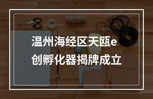 温州海经区天瓯e创孵化器揭牌成立