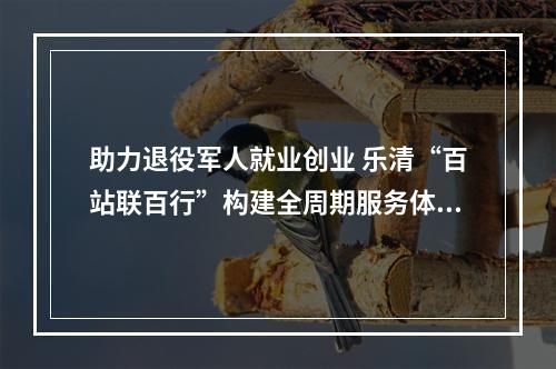 助力退役军人就业创业 乐清“百站联百行”构建全周期服务体系