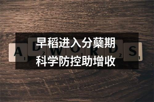 早稻进入分蘖期 科学防控助增收