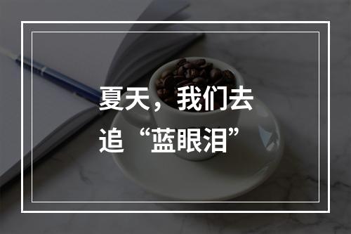 夏天，我们去追“蓝眼泪”