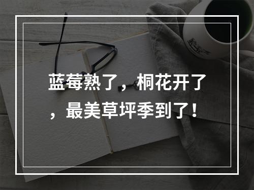 蓝莓熟了，桐花开了，最美草坪季到了！