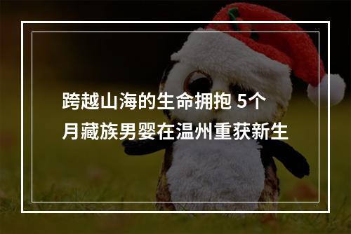 跨越山海的生命拥抱 5个月藏族男婴在温州重获新生