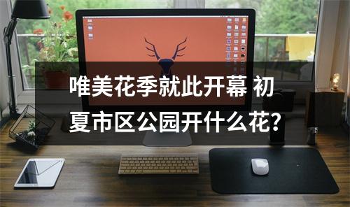 唯美花季就此开幕 初夏市区公园开什么花？