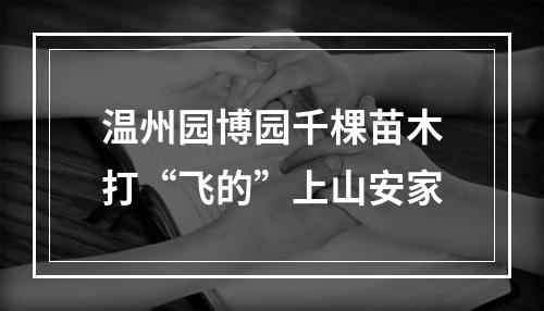 温州园博园千棵苗木打“飞的”上山安家
