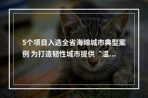 5个项目入选全省海绵城市典型案例 为打造韧性城市提供“温州样本”