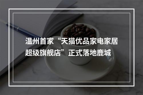温州首家“天猫优品家电家居超级旗舰店”正式落地鹿城