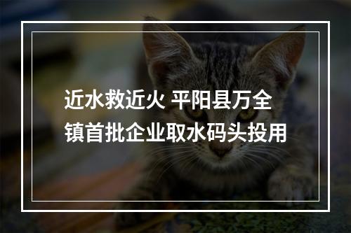 近水救近火 平阳县万全镇首批企业取水码头投用