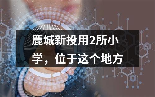 鹿城新投用2所小学，位于这个地方