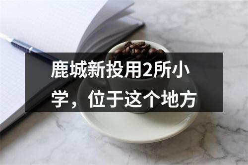 鹿城新投用2所小学，位于这个地方