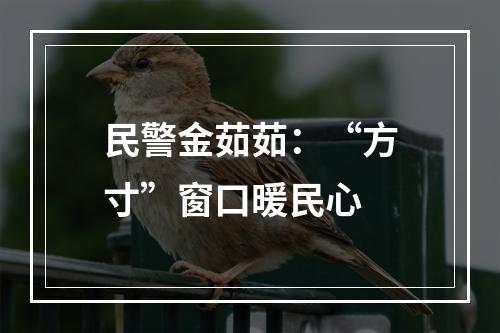 民警金茹茹：“方寸”窗口暖民心