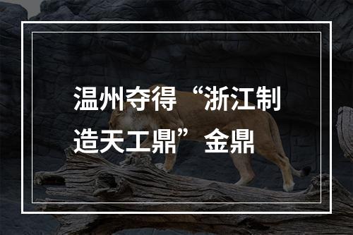 温州夺得“浙江制造天工鼎”金鼎