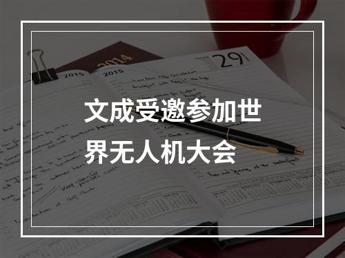 文成受邀参加世界无人机大会
