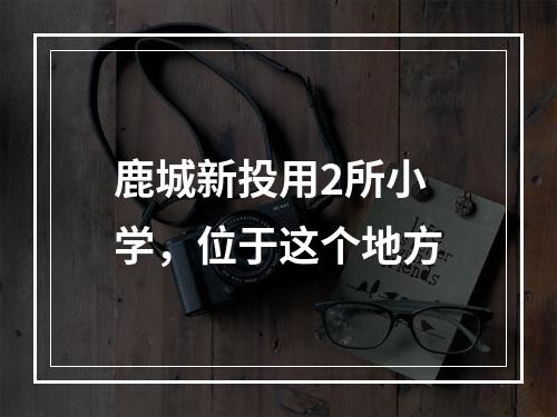 鹿城新投用2所小学，位于这个地方