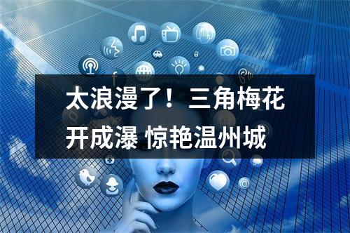 太浪漫了！三角梅花开成瀑 惊艳温州城