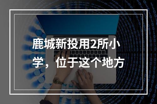 鹿城新投用2所小学，位于这个地方