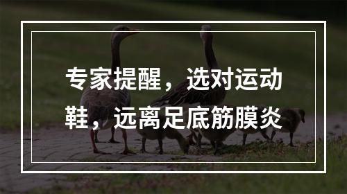 专家提醒，选对运动鞋，远离足底筋膜炎