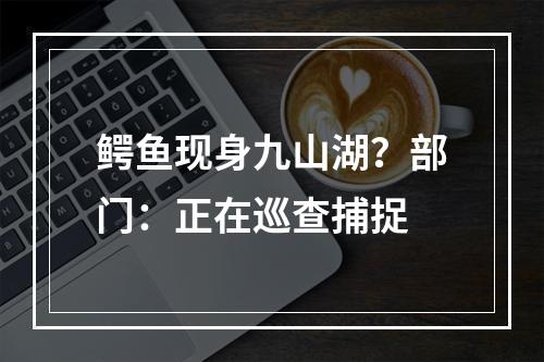 鳄鱼现身九山湖？部门：正在巡查捕捉