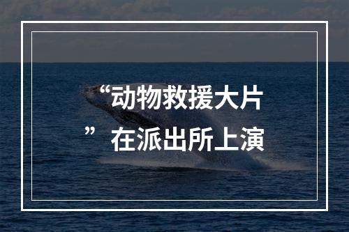 “动物救援大片”在派出所上演
